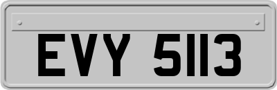 EVY5113