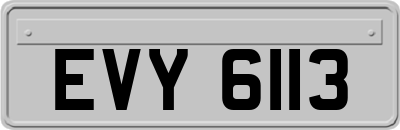 EVY6113