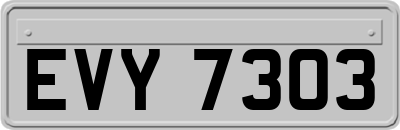 EVY7303