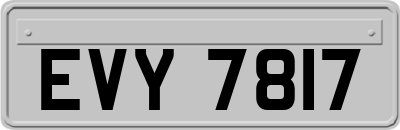 EVY7817