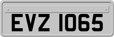 EVZ1065