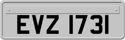 EVZ1731