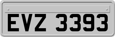 EVZ3393