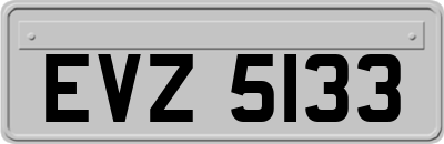 EVZ5133