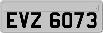EVZ6073