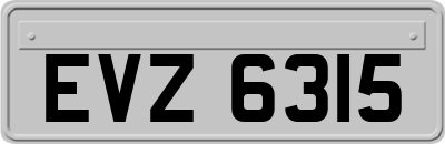 EVZ6315
