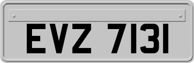 EVZ7131