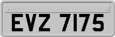 EVZ7175