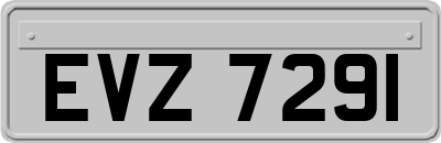EVZ7291