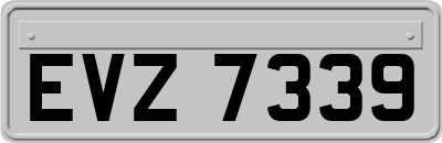 EVZ7339