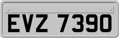 EVZ7390