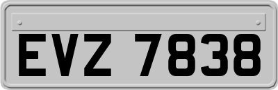 EVZ7838