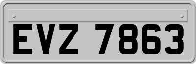 EVZ7863