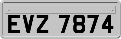 EVZ7874
