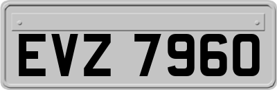 EVZ7960