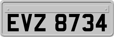 EVZ8734