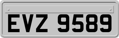 EVZ9589