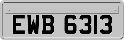 EWB6313