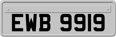 EWB9919