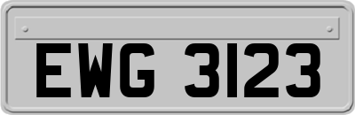 EWG3123
