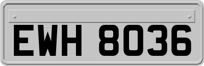 EWH8036