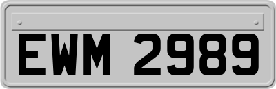 EWM2989