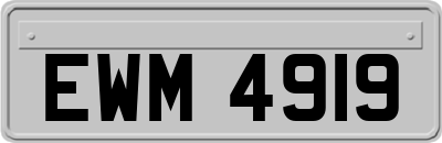 EWM4919