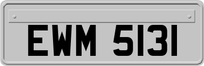 EWM5131