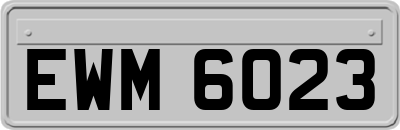 EWM6023