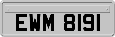 EWM8191
