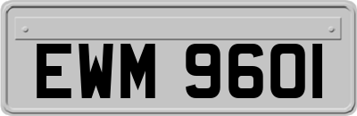 EWM9601