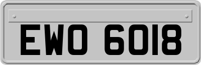 EWO6018