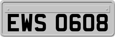 EWS0608