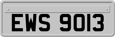 EWS9013