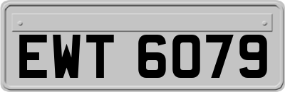 EWT6079