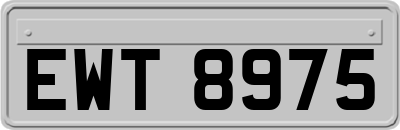 EWT8975