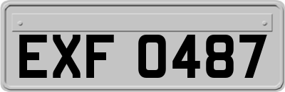 EXF0487