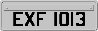 EXF1013