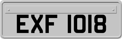 EXF1018