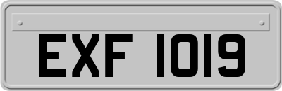EXF1019