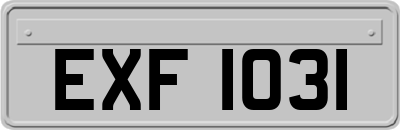 EXF1031