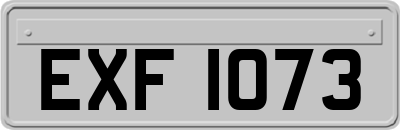 EXF1073