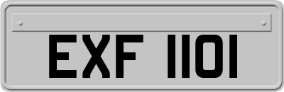 EXF1101