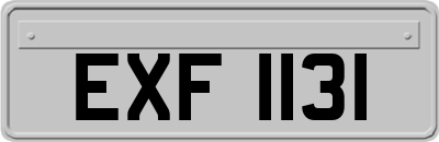 EXF1131