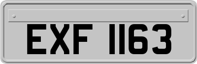 EXF1163