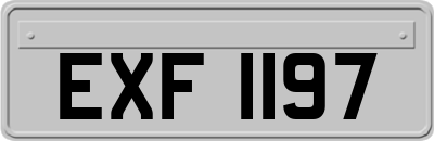 EXF1197