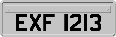 EXF1213