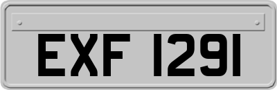 EXF1291