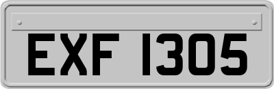 EXF1305