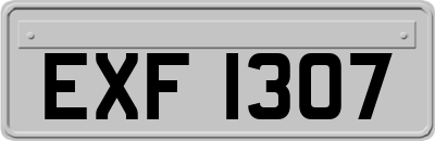 EXF1307